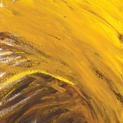 Nobody's Pushing You