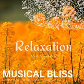 Musical Bliss - Ambient Music for Serene Snowy Christmas Eve