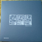 10" release feb 08