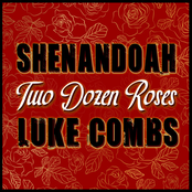 Two Dozen Roses - Single