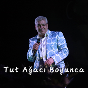 Tut Ağacı Boyunca