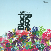 Black Rose: Sky