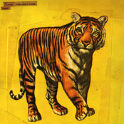 Speed, Glue & Shinki (Tiger Album No. 2)