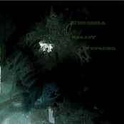 Nerosha/SekjeT/TETSURO split