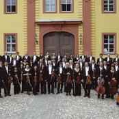 vogtland philharmonic orchestra greiz-reichenbach