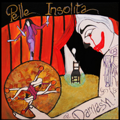 Pelle Insolita by Damash