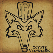 Coyote Valvulado