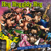 The Long Drive Home by Hog Hoggidy Hog