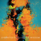 Sybarite5: Collective Wisdom