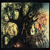 The 13 Frightened Souls