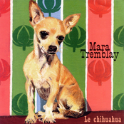 Viens Me Chercher by Mara Tremblay