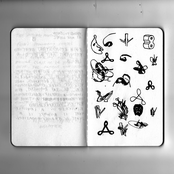 I Don't Want To Be Dug Up From The Wet Earth Anymore