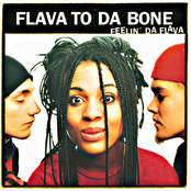 Flava To Da Bone