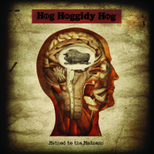 Begging For Change by Hog Hoggidy Hog