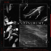 Zinurumy (Fin)