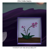 Window of the Space Below - Single