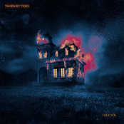 Taken By Tides: I Let You
