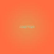 Honeytiger: Tangerine