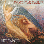 Noctambulist by Dead Can Dance