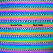 Velha Guitarra / Dente Canino