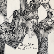 Becca Stevens: Becca Stevens & The Secret Trio