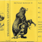 Old Forest Mysticism II