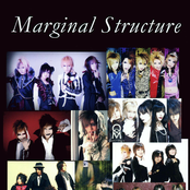marginal structure
