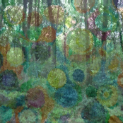 Psychotropic Anomaly