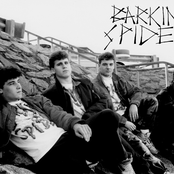 Barking Spiders