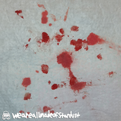 slugs, shells, pellets