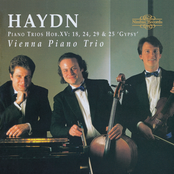 Vienna Piano Trio: Haydn: Piano Trios