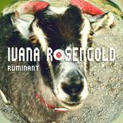 Ruminant EP