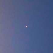 星も知らない