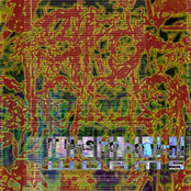 It Has To Do With Worms