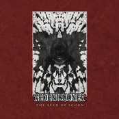 The Seed of Scorn
