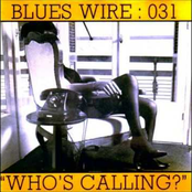 Crying For My Baby by Blues Wire