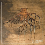 Mellow Roots