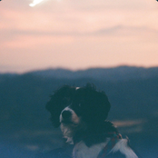 Beau in the Cherry Blossoms