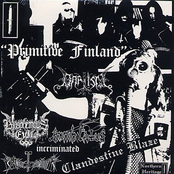 Primitive Finland (Split)