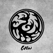 Crow - Single