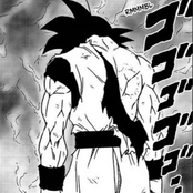 Neva 2 Much x Goku Rage