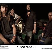 Stone Senate