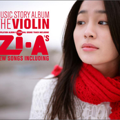 The Violin