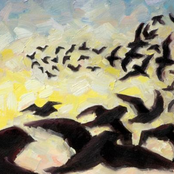 Ollie McGill: The Clouds