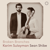 Karim Sulayman: Broken Branches