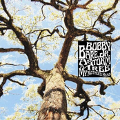 A Storm, A Tree, My Mother's Head