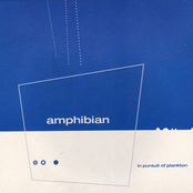 In Pursuit Of Plankton