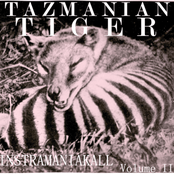 Tazmanian Tiger