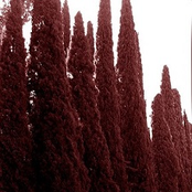 Compendio de trágicos presagios