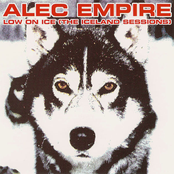 Low On Ice by Alec Empire
